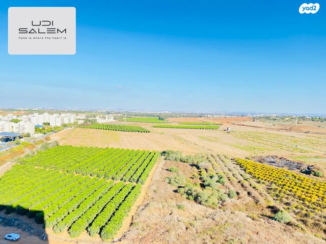 שדרות טום לנטוס 