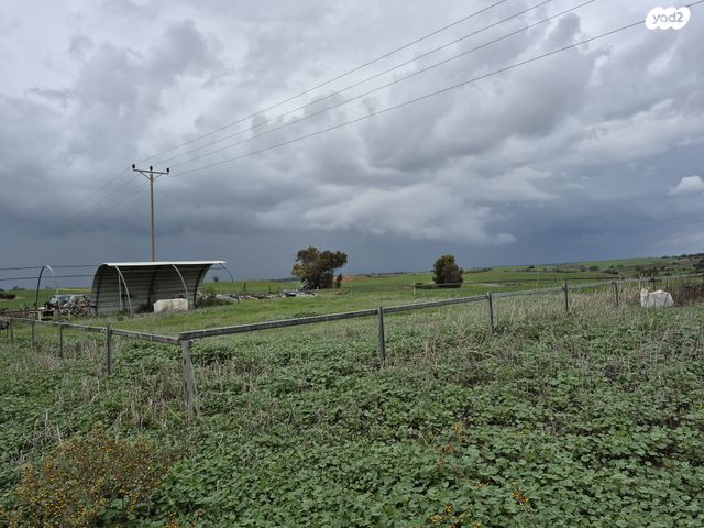 משק חקלאי/ נחלה, ניר עקיבא