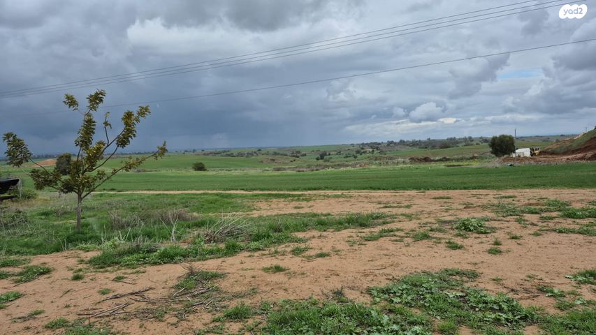 משק חקלאי/ נחלה, ניר עקיבא