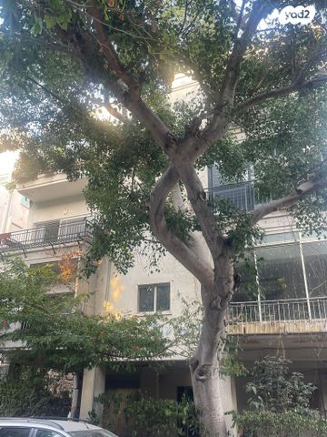 דירה, שדרות מוצקין, הצפון הישן - צפון, תל אביב יפו