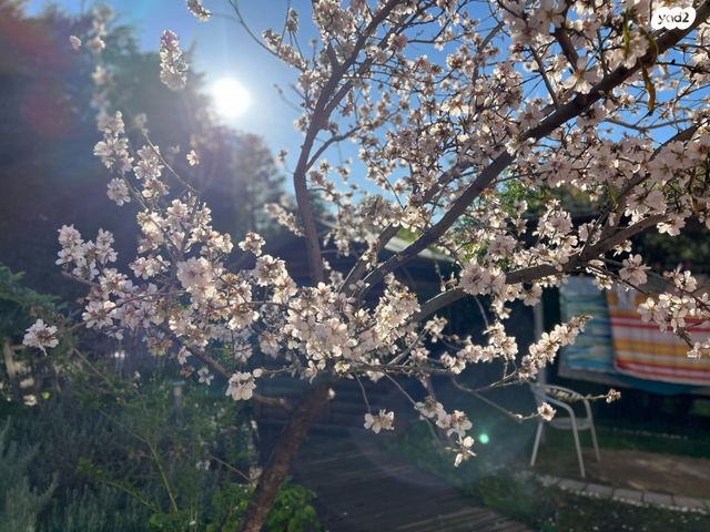 משק חקלאי/ נחלה, מגשימים, מגשימים