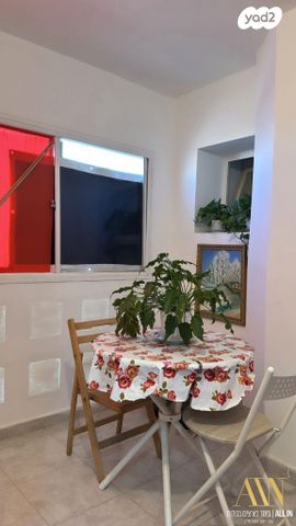 דירה, דימונה