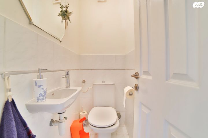 גג/ פנטהאוז, יהושע רבינוביץ, בן גוריון, חולון