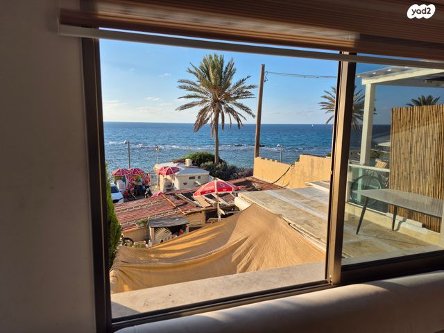 שתי האחיות 2