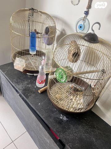 תמונת מודעה - חיות מחמד