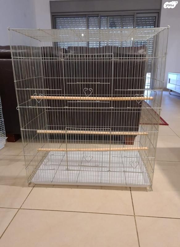 תמונת מודעה - חיות מחמד