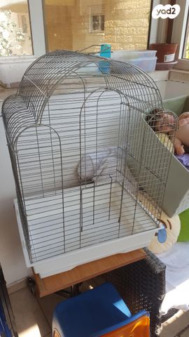 תמונת מודעה - חיות מחמד