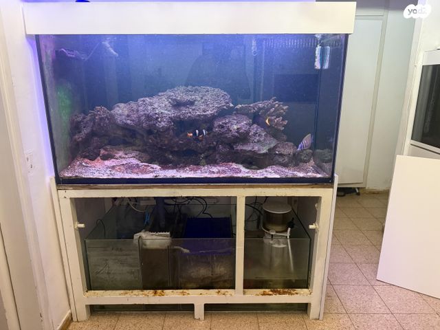 אביזרים | אקווריום