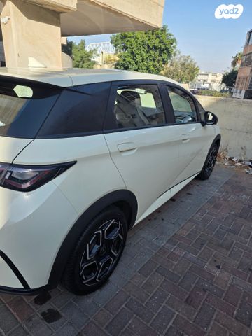 בי.ווי.די דולפין