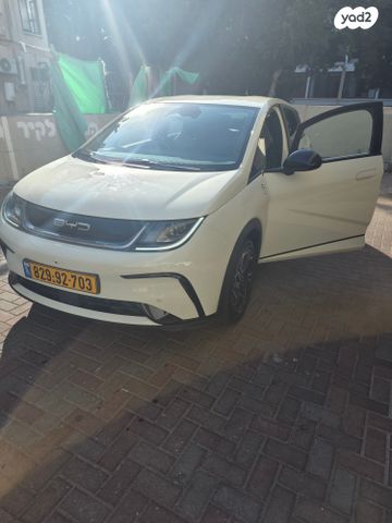 בי.ווי.די דולפין