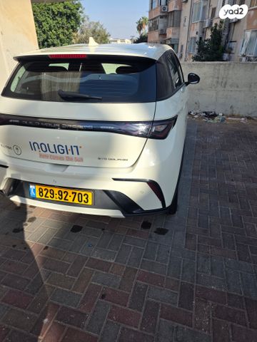 בי.ווי.די דולפין