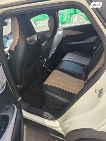 בי.ווי.די דולפין