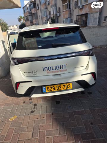 בי.ווי.די דולפין