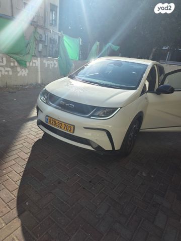 בי.ווי.די דולפין