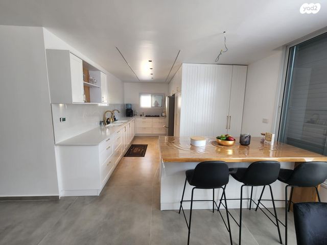 החשמונאים 11