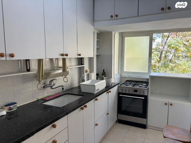 אלעזר המודעי 12