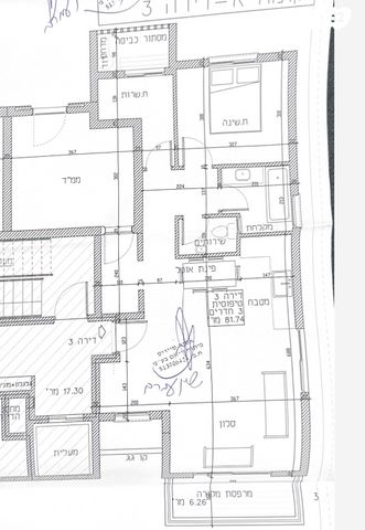 שיר השירים 13