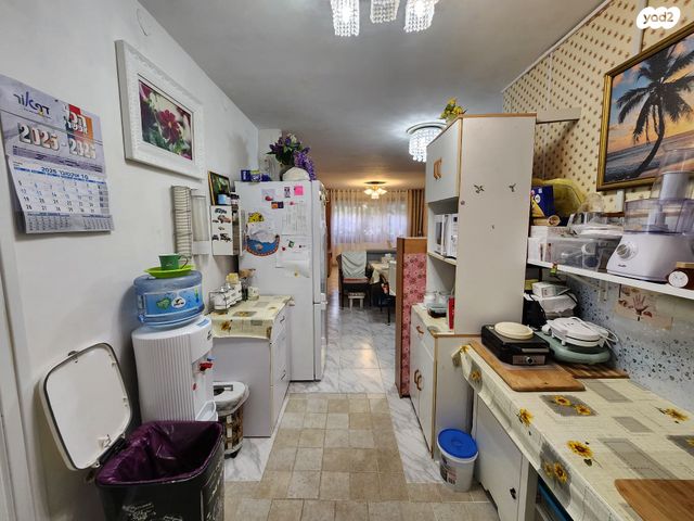 דירה, הארז, כהן, טירת כרמל