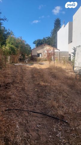 מגרשים, הגולן, רמת החייל, תל אביב יפו