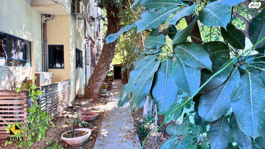 דירה, שדרות ח"ן, ב' / צפון מערב העיר, רחובות