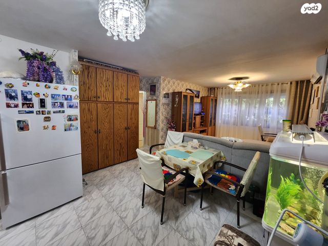 דירה, הארז, כהן, טירת כרמל