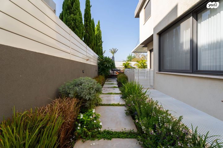 דו משפחתי, קדימה צורן