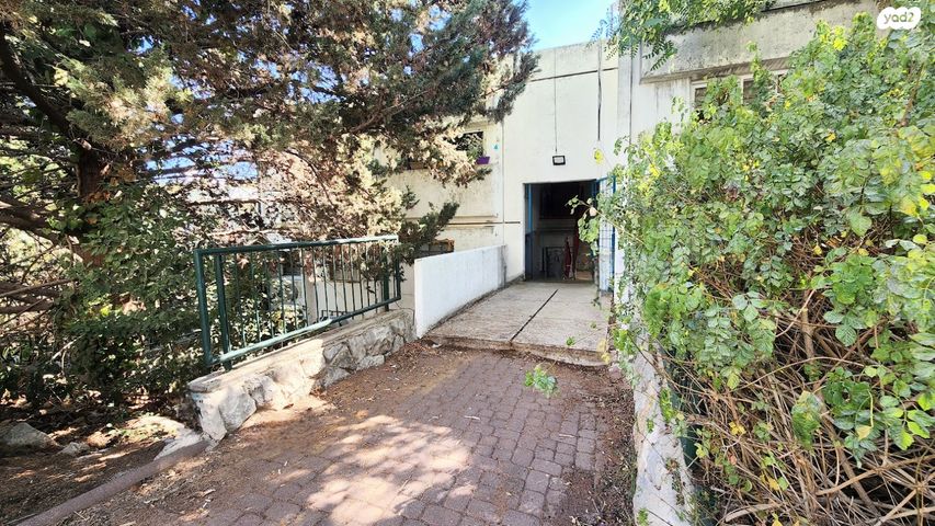 דירה, סיגליות, הסגליות, מעלות תרשיחא