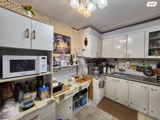 דירה, הארז, כהן, טירת כרמל