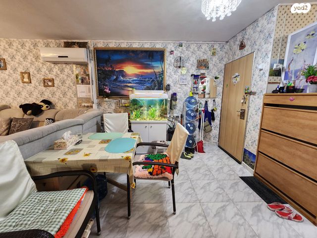 דירה, הארז, כהן, טירת כרמל