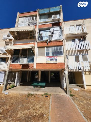 מנחם ציוני 805