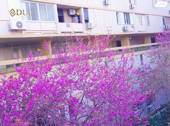 דירה, ליאון בלום 16, רמת הדר, חיפה