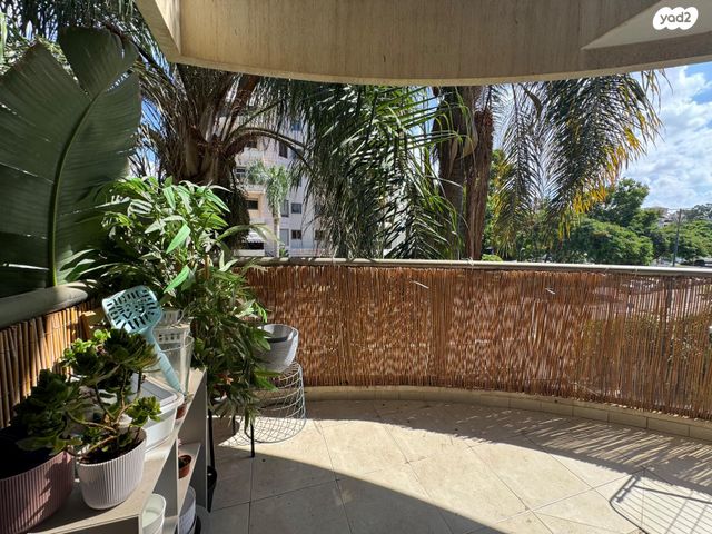 דירה, העוגן, הדרי סמל, נס ציונה