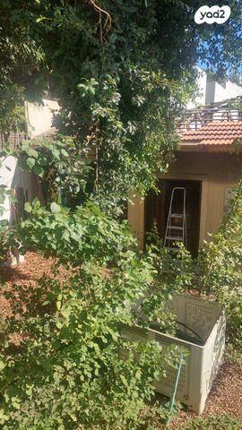 מגרשים, הגולן, רמת החייל, תל אביב יפו