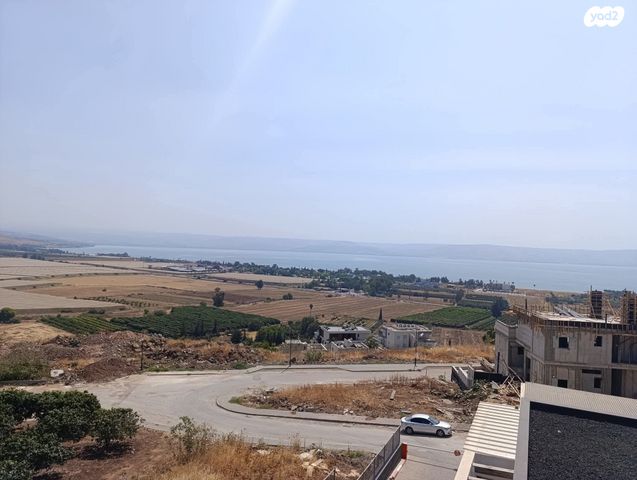 דירה, הצבעוני, מגדל, מגדל