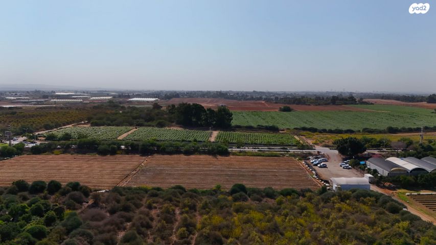 דו משפחתי, קדימה צורן