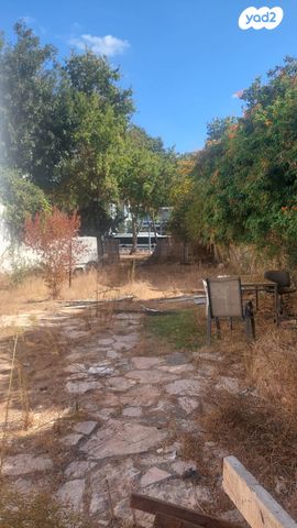 מגרשים, הגולן, רמת החייל, תל אביב יפו