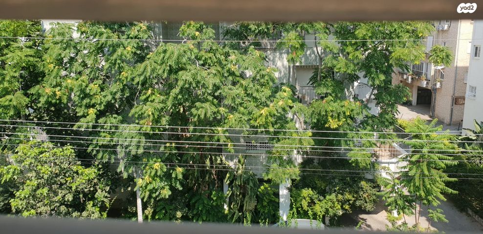 א' / צפון מזרח העיר