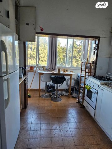 שמריהו לוין 