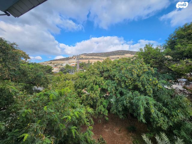 דירה, הארז, כהן, טירת כרמל