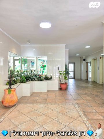 דירה, שלמה מולכו, רמב"ם, ראשון לציון