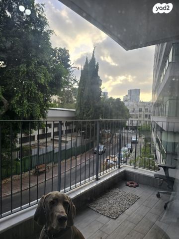 דירה, שכונת חשמונאים, מרכז העיר א, רמת גן