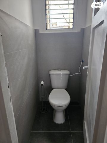 דירה, שמריהו לוין, חיפה