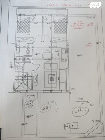 דופלקס, עמוס, בן דור, נשר