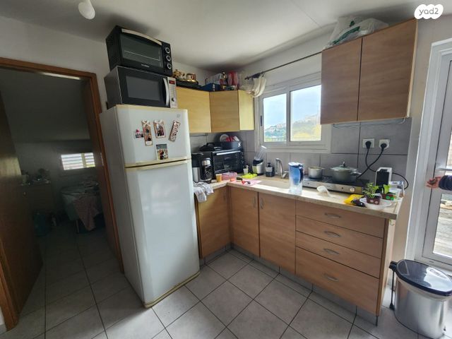 דופלקס, עמוס, בן דור, נשר