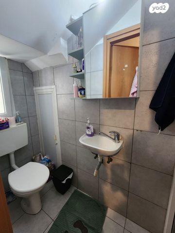 דופלקס, עמוס, בן דור, נשר