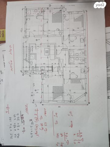 דופלקס, עמוס, בן דור, נשר