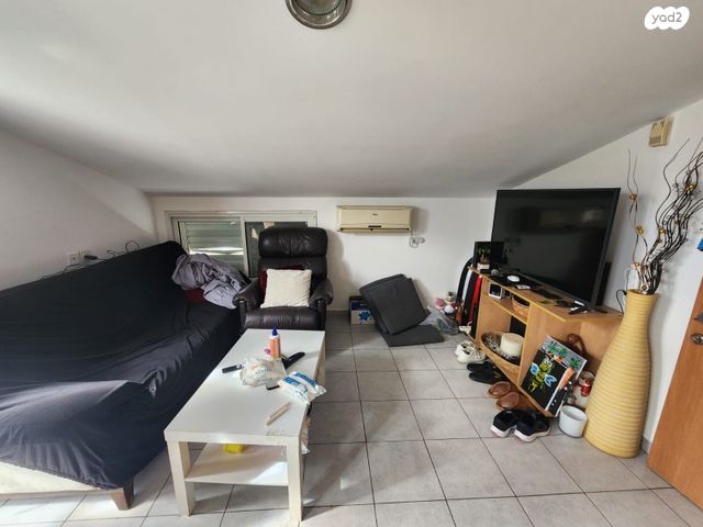 דופלקס, עמוס, בן דור, נשר