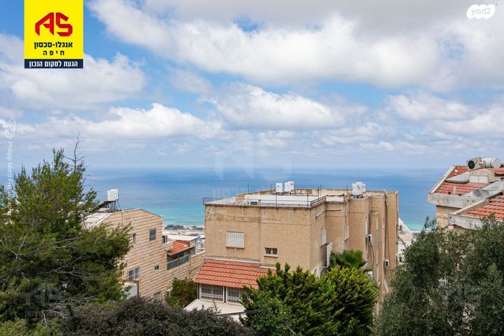 שלומציון המלכה 