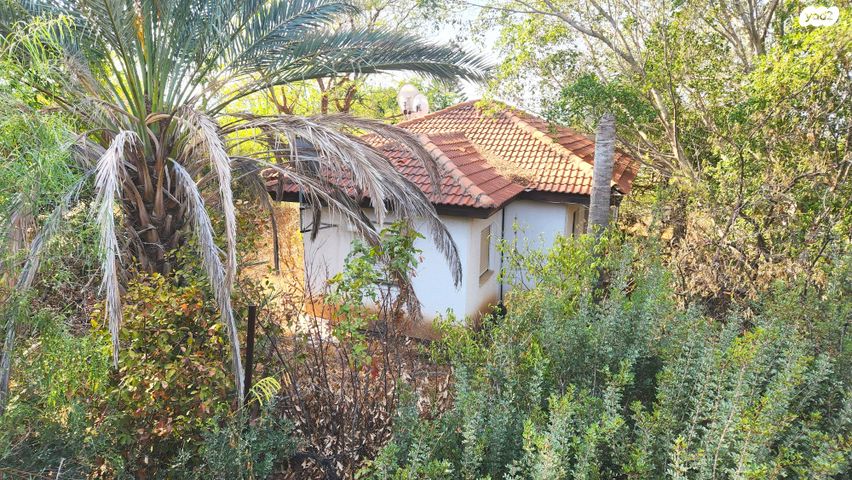 בית פרטי/ קוטג', חד נס