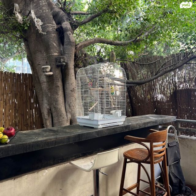 דירה, שדרות רוטשילד, לב תל אביב, לב העיר צפון, תל אביב יפו